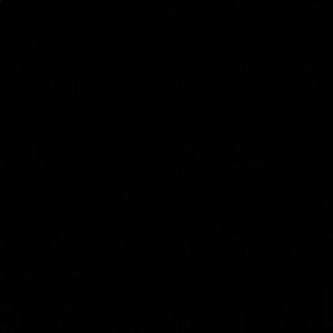 Meet your Posher, Randee